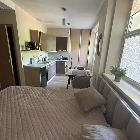 Mazoji Zuvedra Appartement Palanga